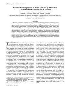 Genome Rearrangements in Maize Induced by ... - Semantic Scholar