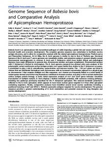 Genome Sequence of Babesia bovis and Comparative ... - PLOS