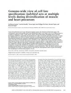 Genome-wide view of cell fate specification - Genes & Development