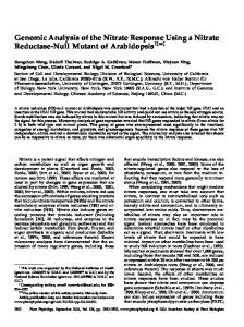 Genomic Analysis of the Nitrate Response Using a Nitrate Reductase ...