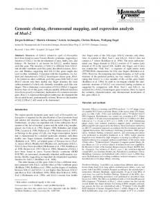 Genomic cloning, chromosomal mapping, and ... - Springer Link