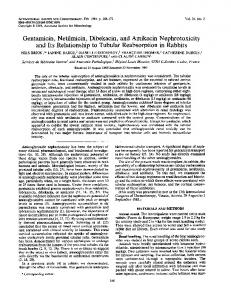 Gentamicin, Netilmicin, Dibekacin, and Amikacin Nephrotoxicity and ...