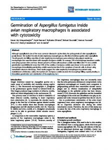 Germination of Aspergillus fumigatus inside avian respiratory ...