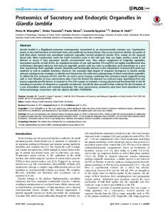 Giardia lamblia - PLOS