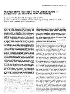 Glia Modulate the Response of Murine Cortical Neurons to Excitotoxicity