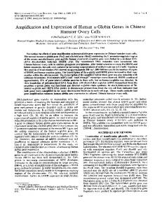 Globin Genes in Chinese Hamster Ovary Cells - Molecular and ...