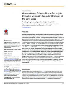 Glucocorticoids Enhance Muscle Proteolysis ... - Semantic Scholar