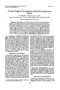 Glucose-Triggered Germination of Bacillus megaterium Spores