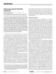 Glutamate-gated Chloride Channels - The Journal of Biological ...