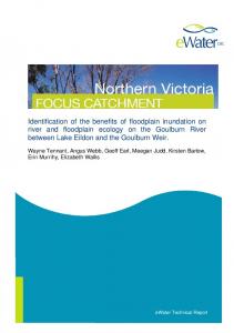 Goulburn Technical Report