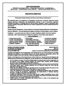 Government Resume Example