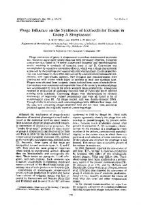 Group A Streptococci