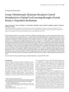 Group I Metabotropic Glutamate Receptors Control ... - Semantic Scholar