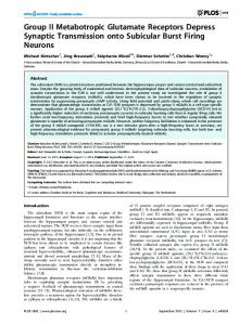 Group II Metabotropic Glutamate Receptors