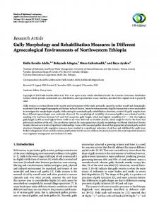 Gully Morphology and Rehabilitation Measures in Different ...