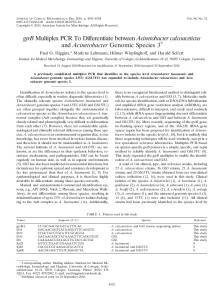 gyrB Multiplex PCR To Differentiate between Acinetobacter ...