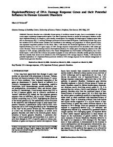 Haploinsufficiency of DNA Damage Response ... - Semantic Scholar