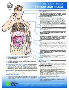 Harmful Effects of Cocaine and Crack