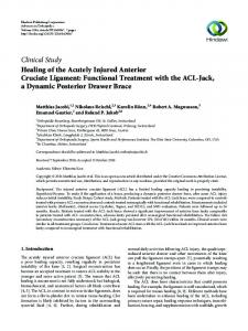 Healing of the Acutely Injured Anterior Cruciate Ligament: Functional ...