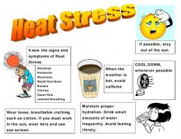 Heat Stress Poster - WordPress.com