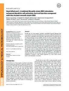 Heatkilled and irradiated Brucella strain RB51 ... - Wiley Online Library