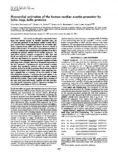 helix-loop-helix proteins - Europe PMC