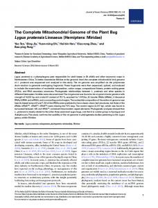 Hemiptera: Miridae - Oxford Journals - Oxford University Press