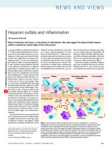 Heparan sulfate and inflammation