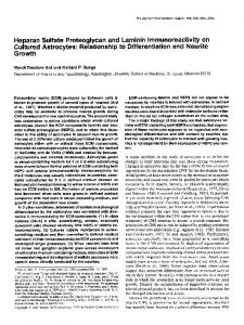 Heparan Sulfate Proteoglycan and Laminin ... - Semantic Scholar