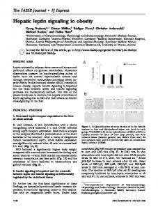 Hepatic leptin signaling in obesity - The FASEB Journal