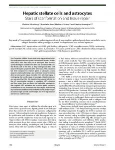 Hepatic stellate cells and astrocytes