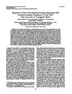 Hepatitis B Virus RNA-Binding Proteins ... - Journal of Virology