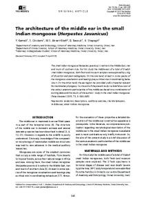 Herpestes Javanicus - Via Medica Journals