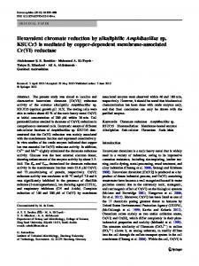 Hexavalent chromate reduction by alkaliphilicAmphibacillussp ...