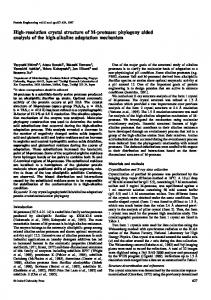 High-resolution crystal structure of M-protease - CiteSeerX