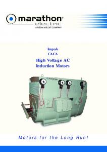 High Voltage AC Induction Motors