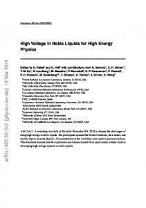 High Voltage in Noble Liquids for High Energy Physics