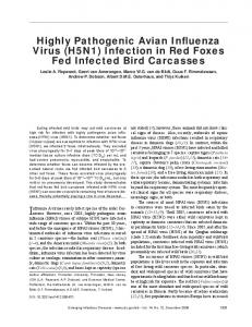 Highly Pathogenic Avian Influenza Virus (H5N1) - Centers for Disease ...