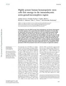 Highly potent human hematopoietic stem cells first ... - BioMedSearch