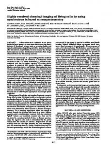 Highly resolved chemical imaging of living cells by using synchrotron ...