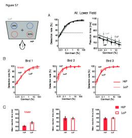 HiP LoP HiP LoP All: Lower Field Figure S7 - PLOS