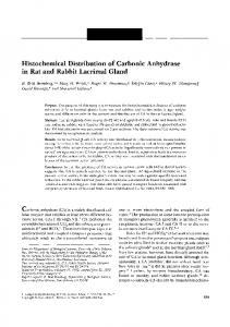 Histochemical Distribution of Carbonic Anhydrase in Rat and ... - IOVS