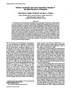 Histone Acetylation and Gene Expression Analysis