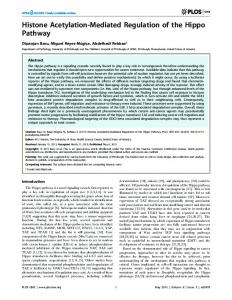 Histone Acetylation-Mediated Regulation of the Hippo ... - CiteSeerX