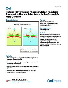 Histone H3 Threonine Phosphorylation Regulates ... - Cell Press