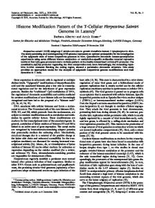 Histone Modification Pattern of the T-Cellular ... - Journal of Virology