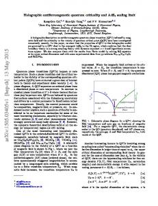 Holographic antiferromganetic quantum criticality and AdS $ _2 ...