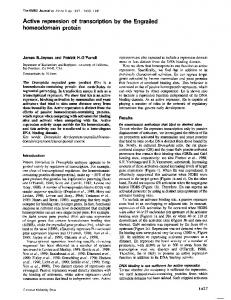 homeodomain protein - NCBI - NIH