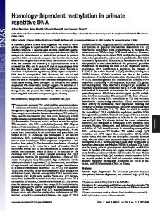 Homology-dependent methylation in primate repetitive DNA