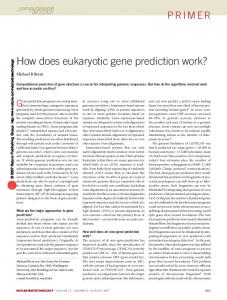 How does eukaryotic gene prediction work?